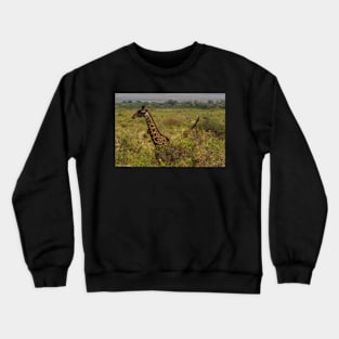 Giraffes in the Trees Crewneck Sweatshirt